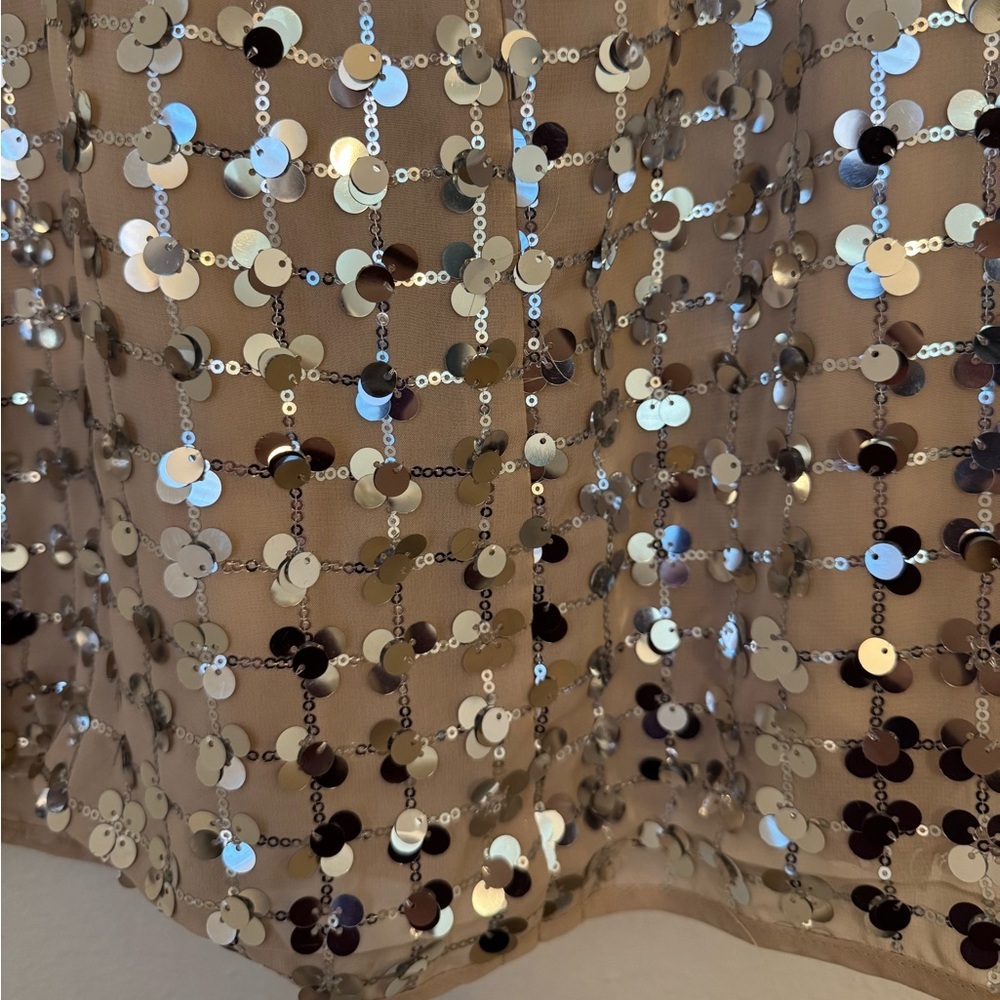 Zara Silver Sequin Beige Square Neck Mini Dress- Small - Picture 6 of 16